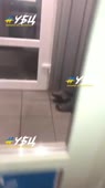 360x640