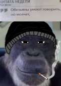 773x1080