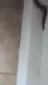204x360