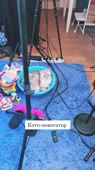 720x1280