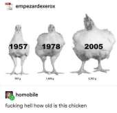 700x683