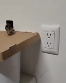 340x426