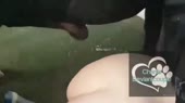640x360