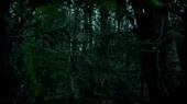 320x180