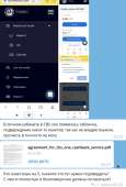 534x788