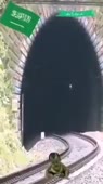 202x360