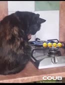 372x480