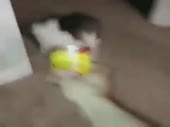 480x360