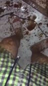 202x360
