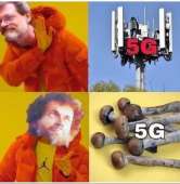 720x733