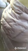 406x720