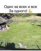 640x800