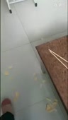 460x808