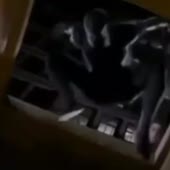 480x480