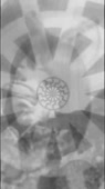 480x852