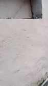 480x864