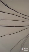 480x848