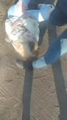 360x640