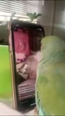 406x720
