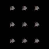 320x320