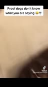 576x1024