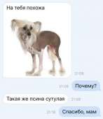 540x623