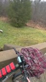 640x1138