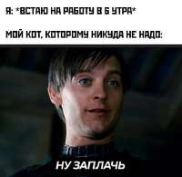 550x537