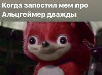 1242x909