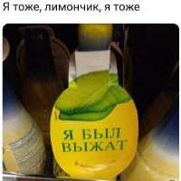 776x776