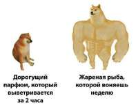 720x562