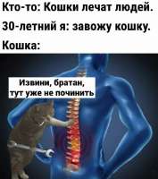 854x960