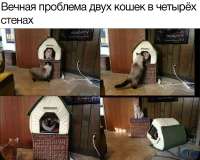 1080x865