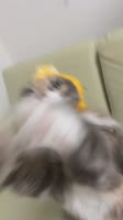720x1280