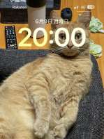 1022x1363