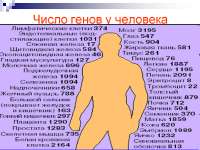 960x720