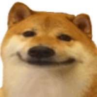 320x320