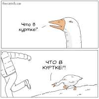 1080x1080