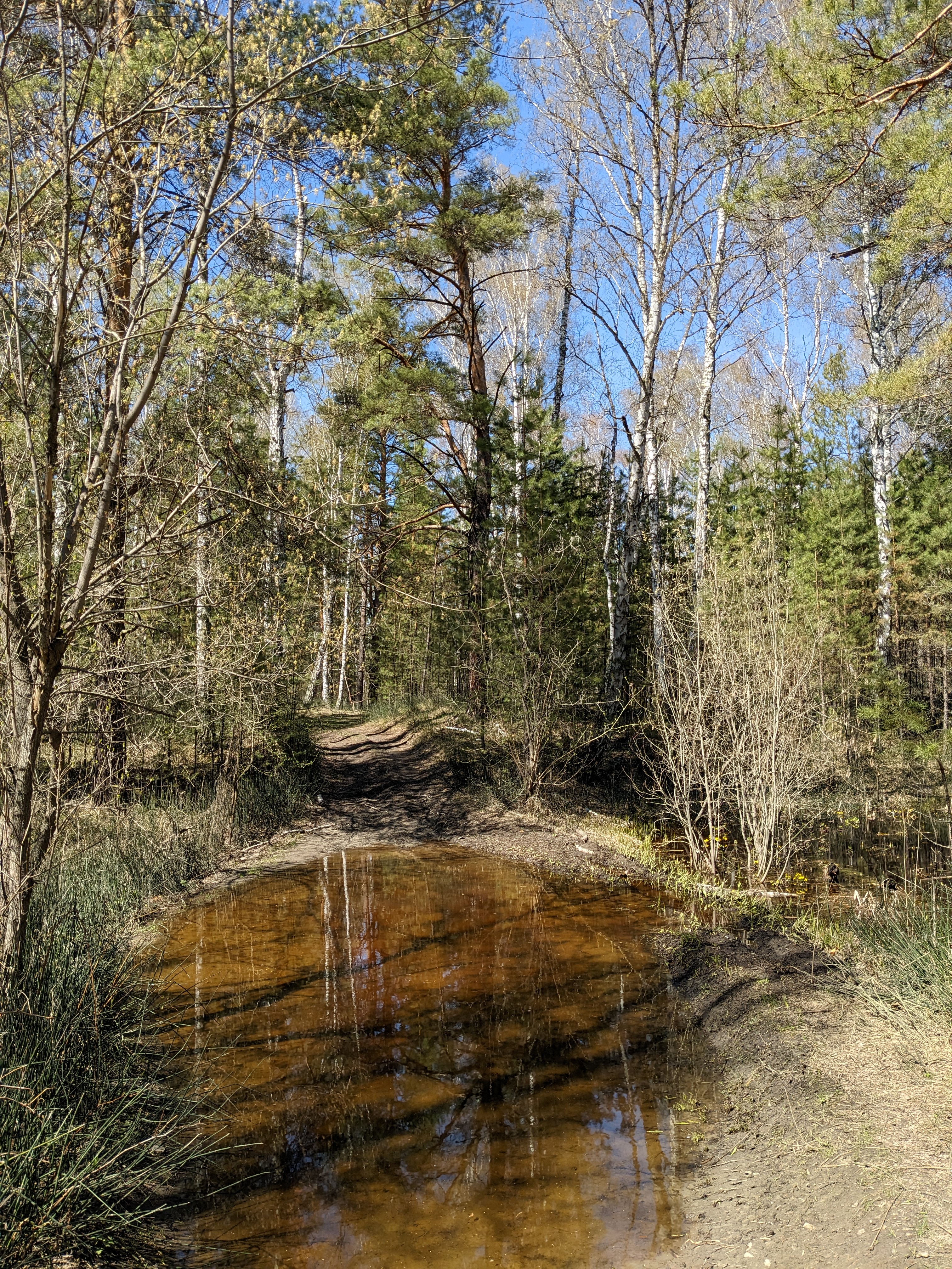 3024x4032