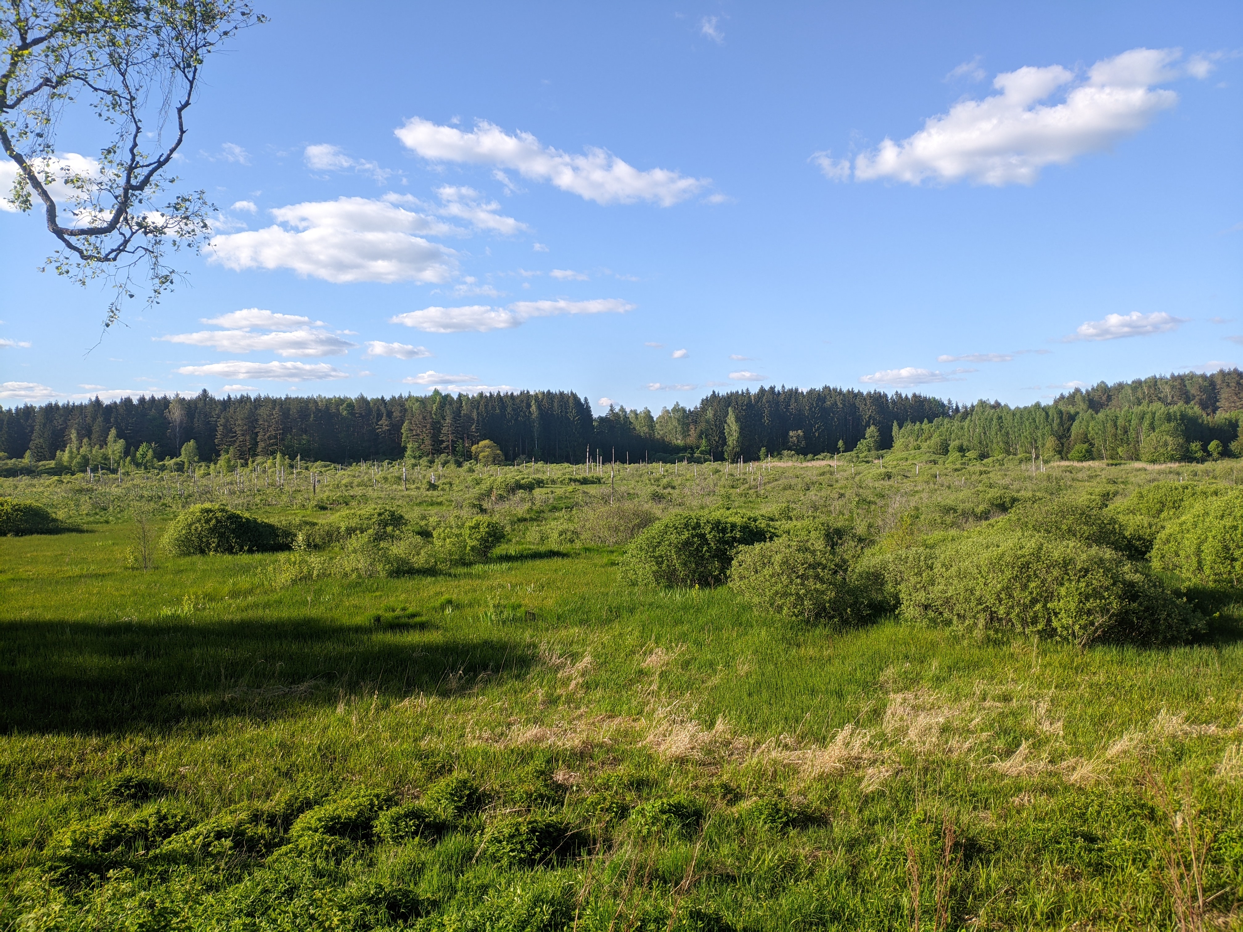 4032x3024