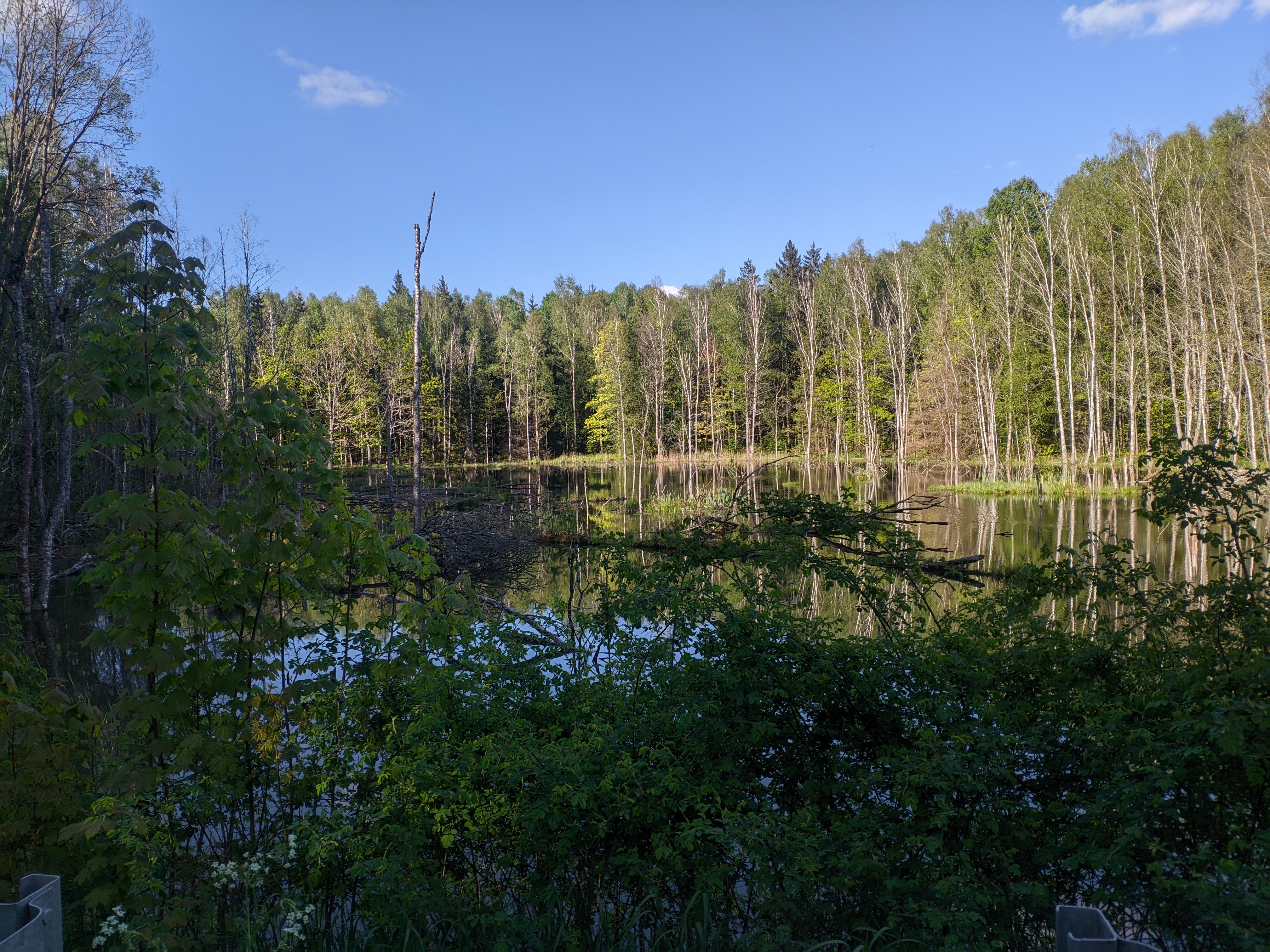 4032x3024