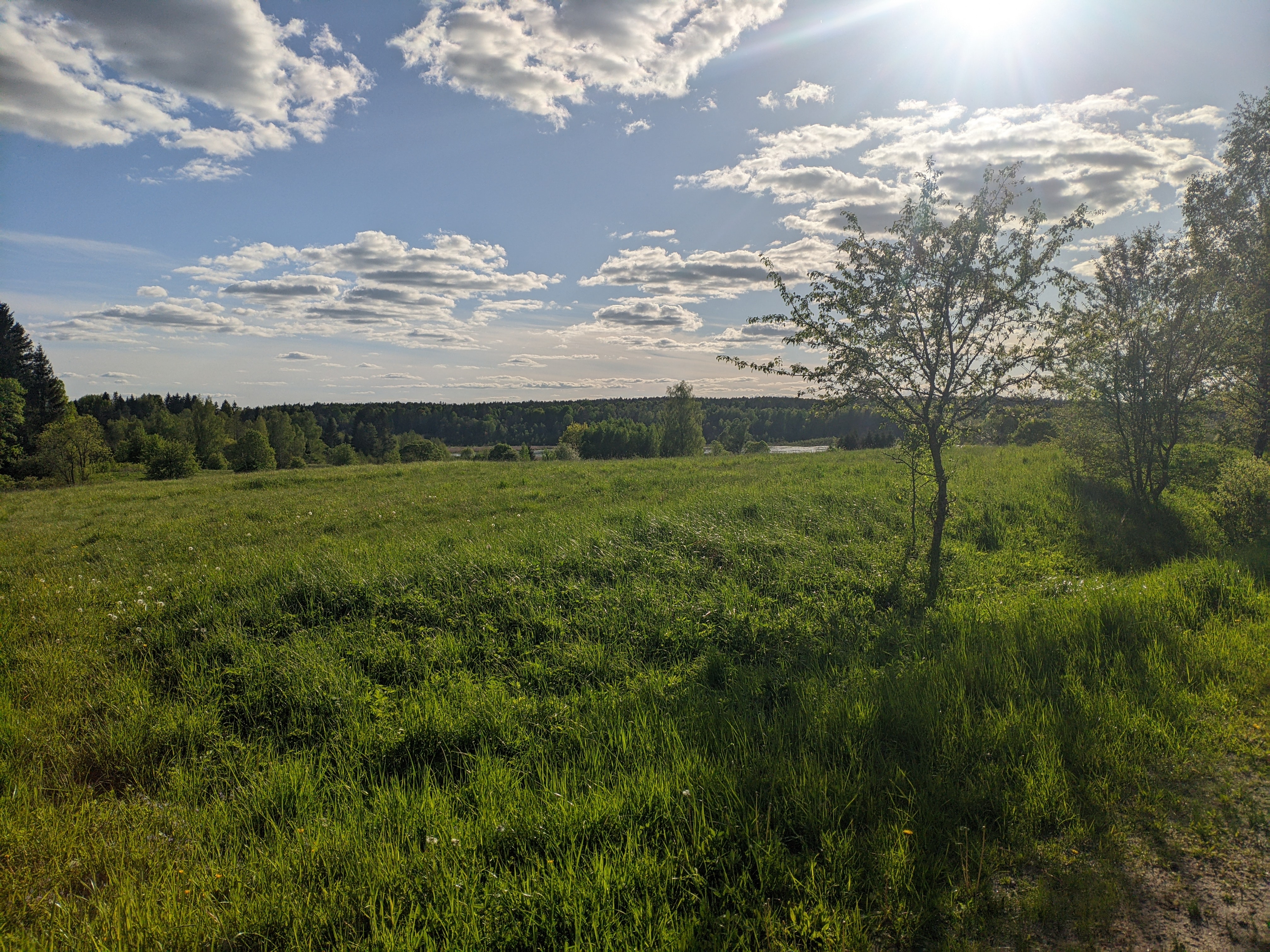 4032x3024