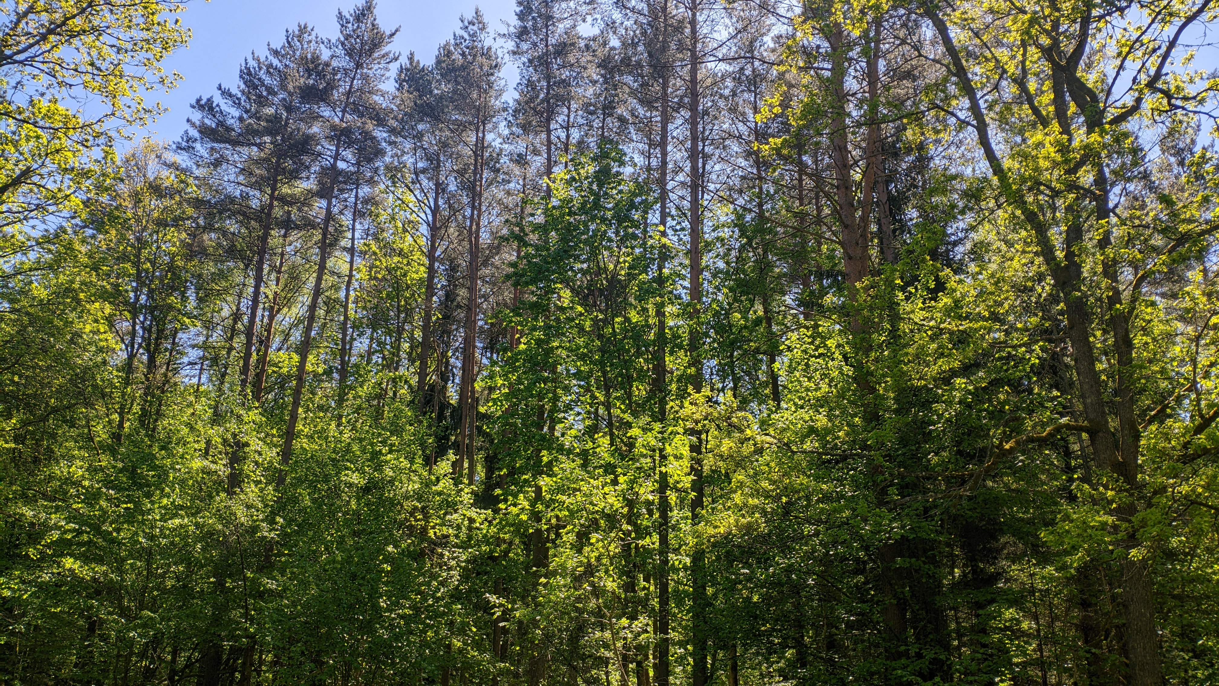 4032x2268