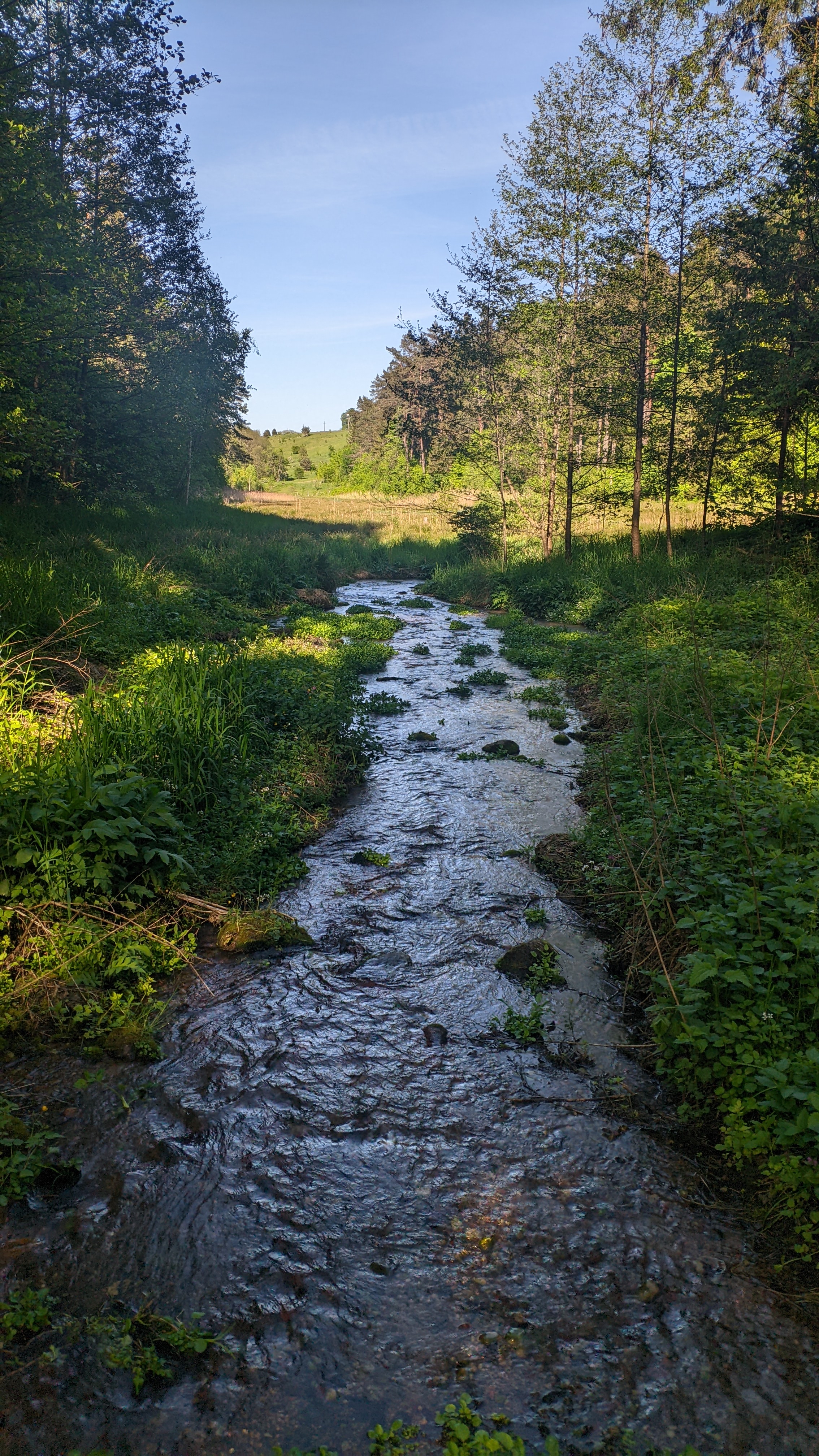 2268x4032