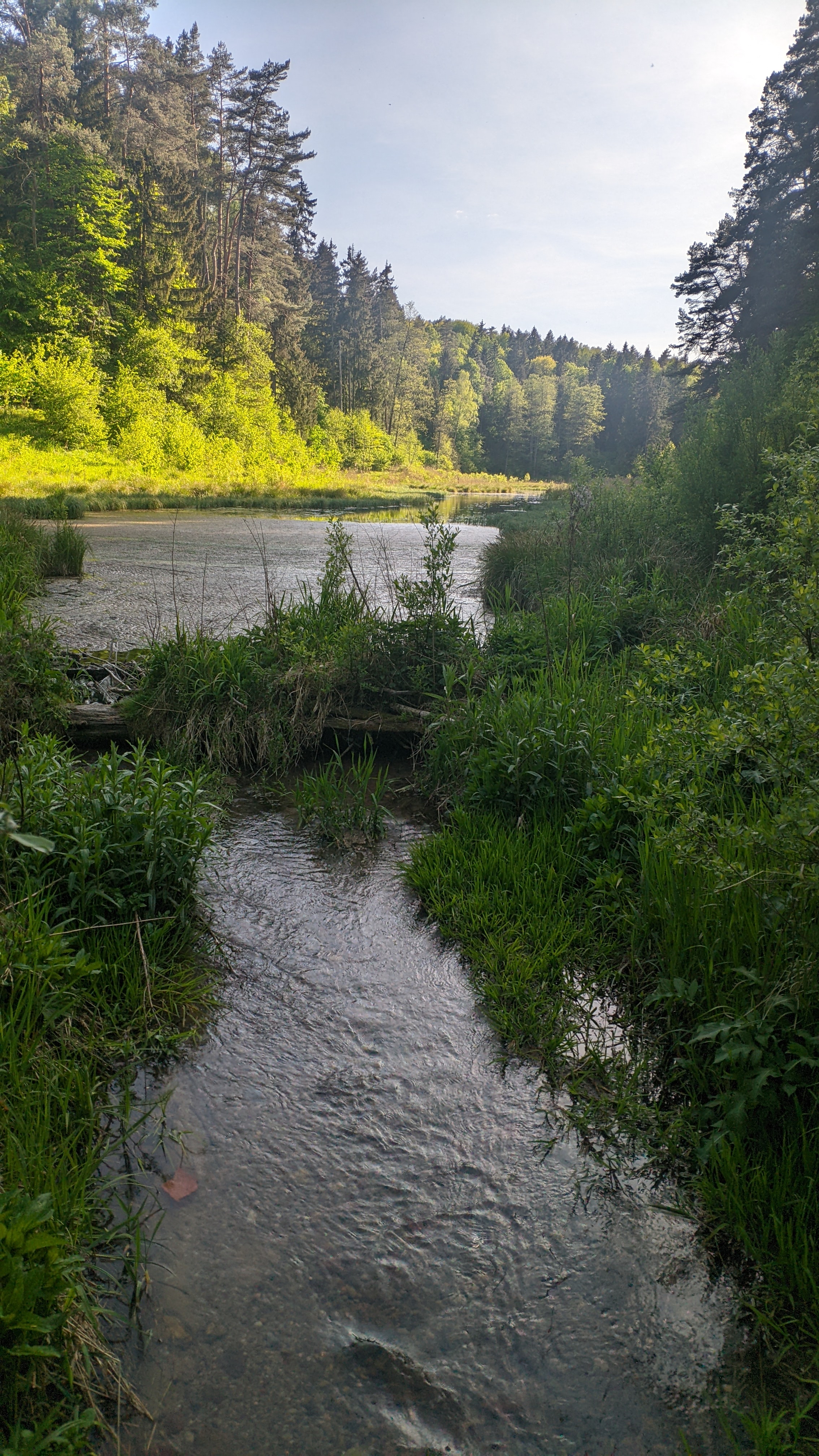 2268x4032