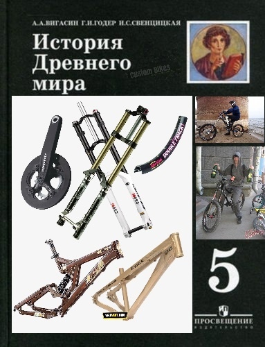 383x500