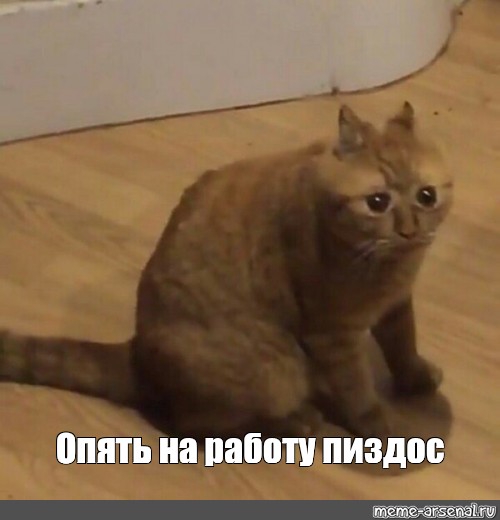 500x520