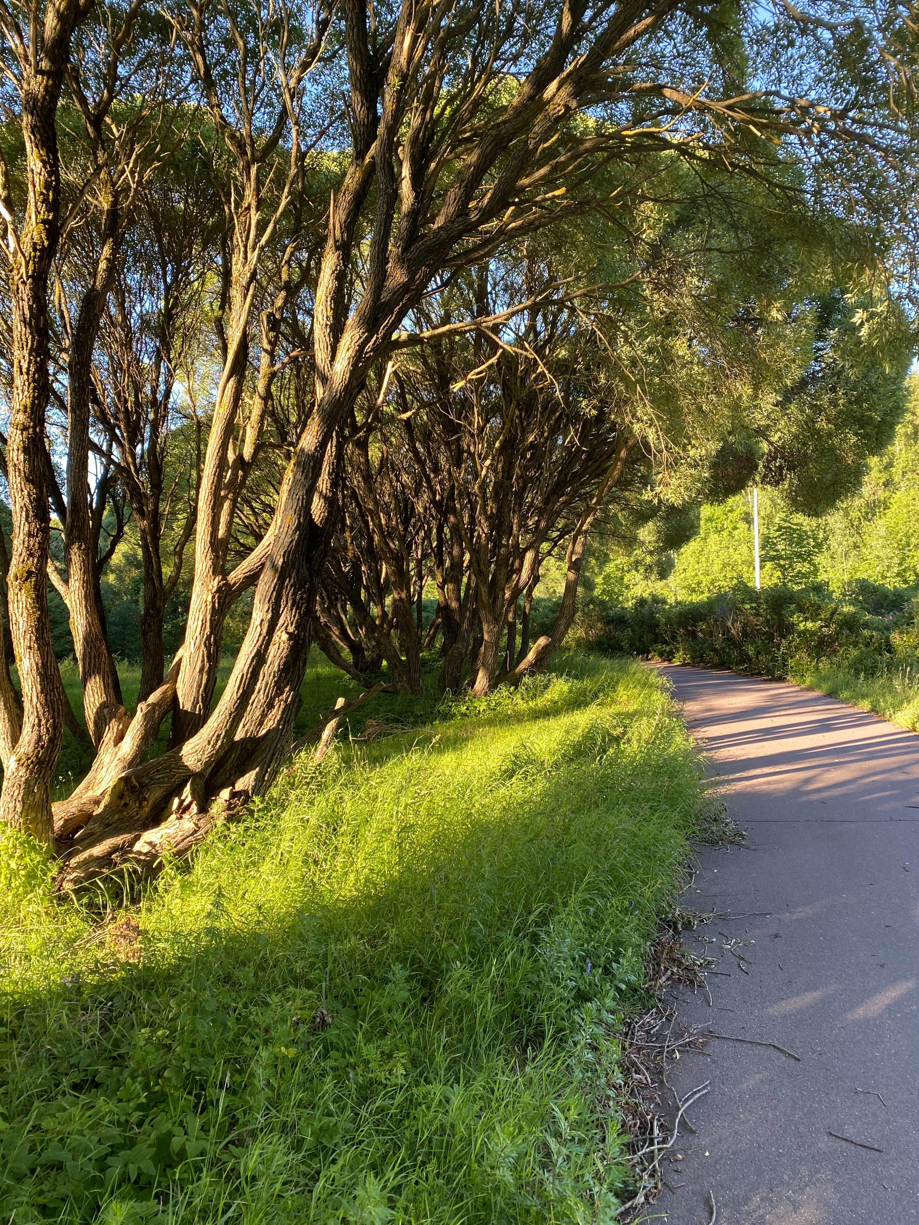 3024x4032