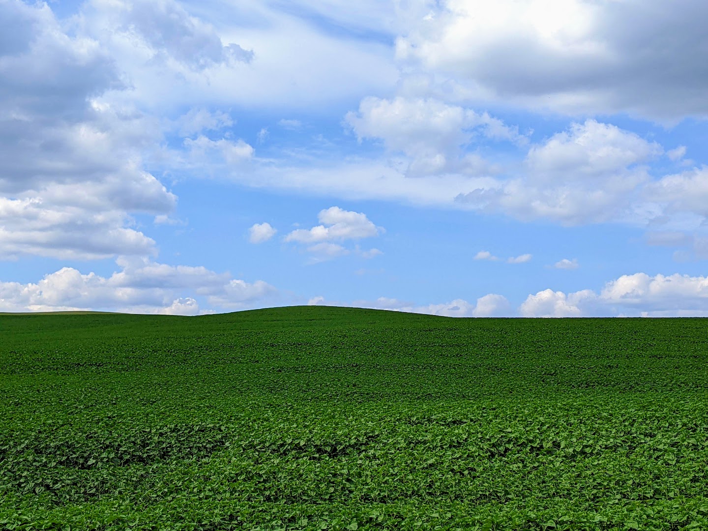 1440x1080