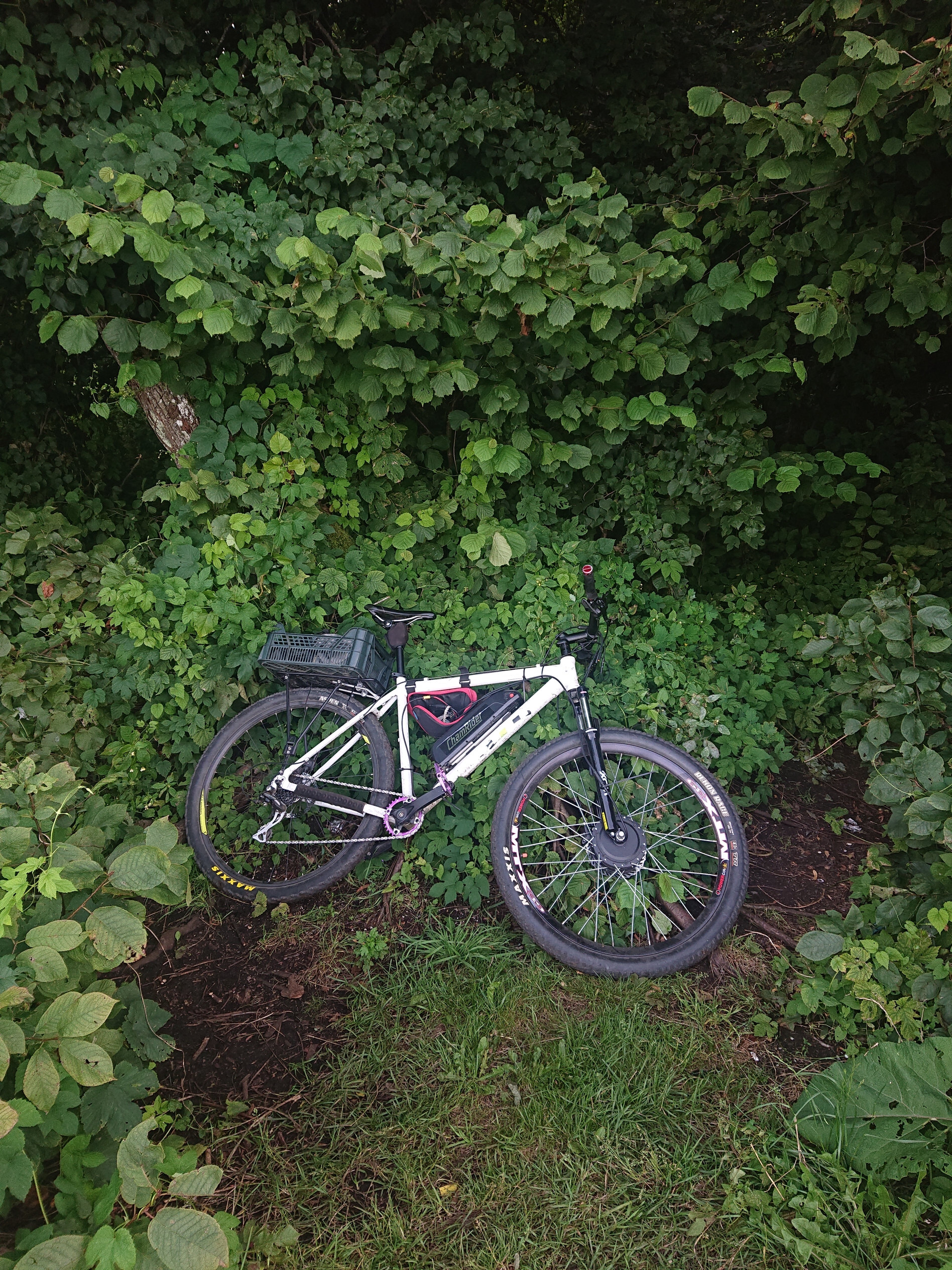 1896x2528